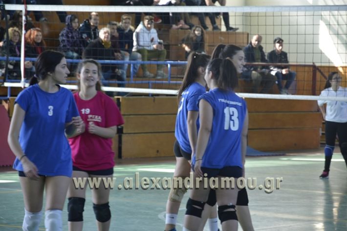 volley_1o-alexandreias-melikis2018 (14)